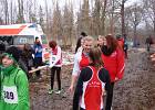2013.03.03-BM-Cross-Wiedelah-056